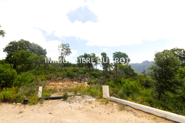 Offres de vente Terrain à batir Tavaco 20167