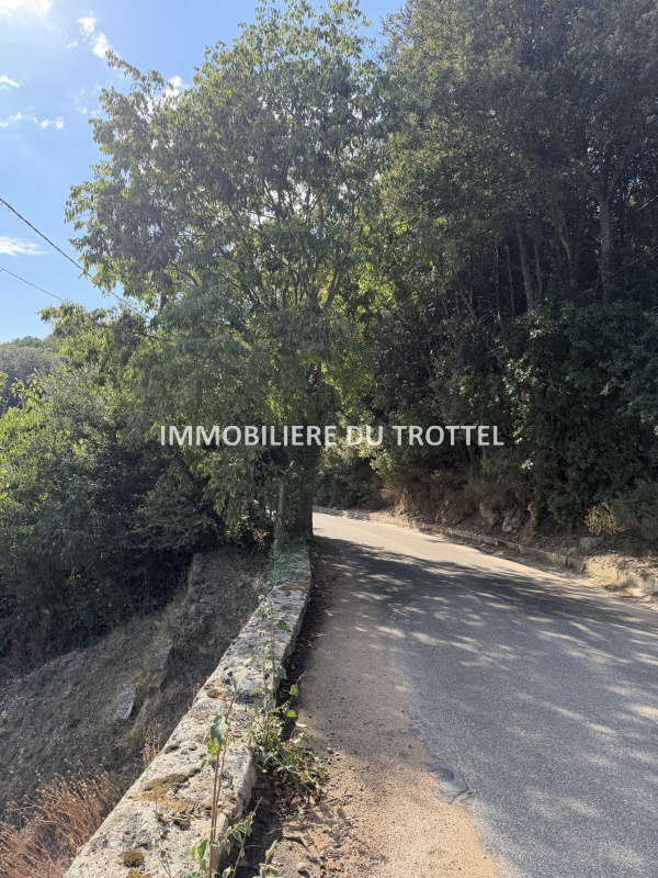 Offres de vente Terrain Pietrosella 20166